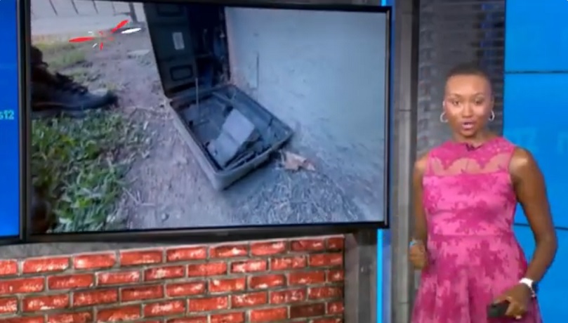 News 12: NYCHA Reduces Rat Burrows by Over 90%!