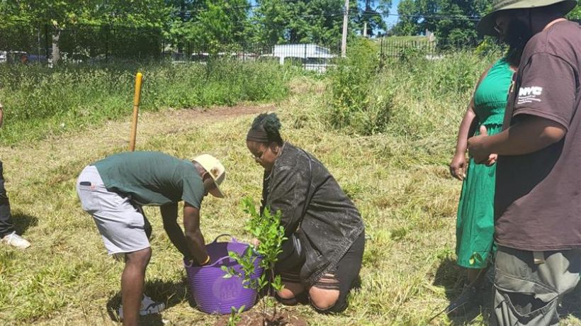 NYCHA and Green City Force leaders celebrating World Environment Day by breaking ground and planting trees for two new urban agriculture EcoHubs at Ravenswood and South Beach Houses.
                                           