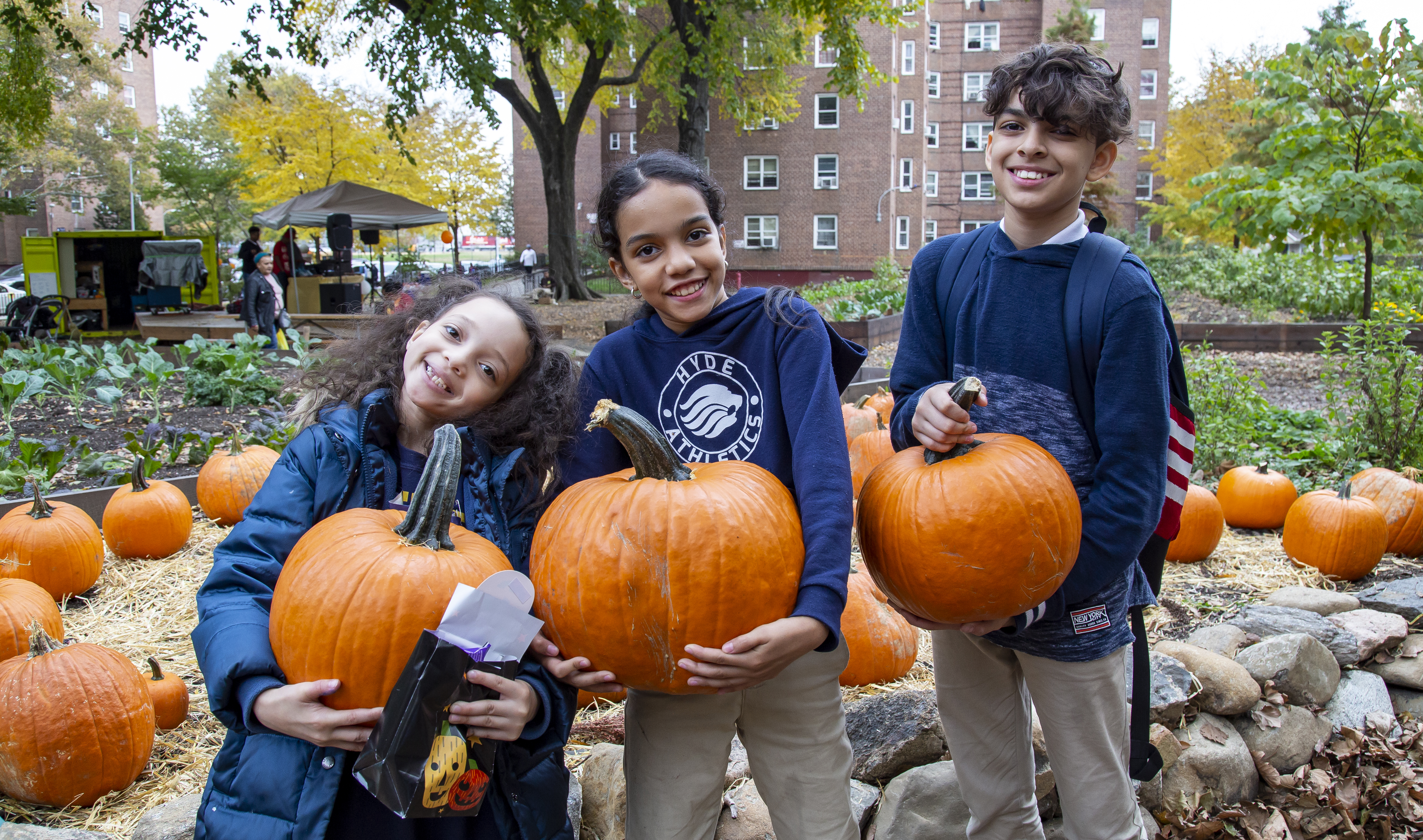 Harvest Festival at NYCHA