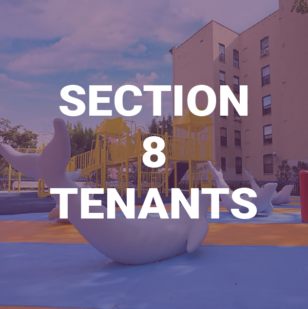 Section 8 Tenants