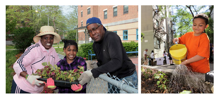 Pictures of NYCHA Residents Gardening