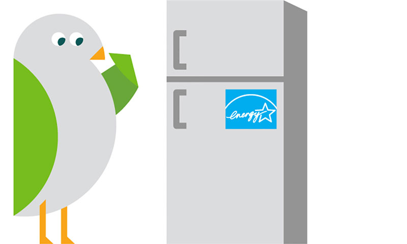 Birdie looking at energy star refrigerator