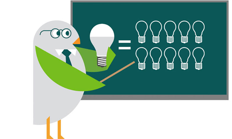 Birdie at a chalkboard