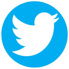 Twitter Link Icon