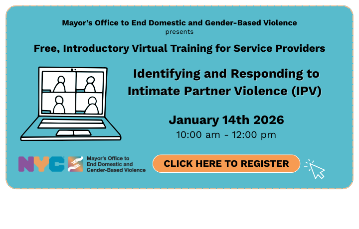 Teleconference graphic on teal background with text and mouse click graphic : Virtual Training for Service Providers: Identifying and Responding to Intimate Partner Violence (IPV) January 14th, 10:00 am &ndash; 12:00 pm. Click here to register.
                                           