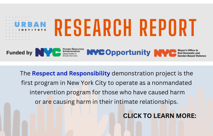 Urban Institute Research Report
                                           