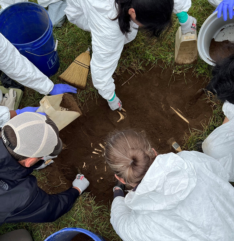 A small group of OCME staff practice recovery of human remains buried in the ground during a training exercise.  The remains are not real and are for training purposes only. 