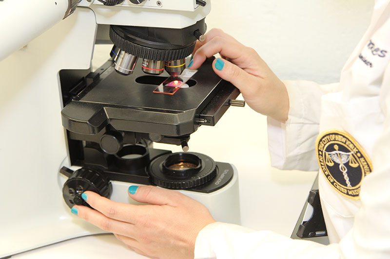 Medical examiner using a microscope