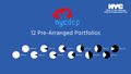 Understanding the Pre-Arranged Portfolios video page