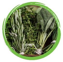 Make the most of herbs