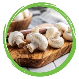 Mushroomss
