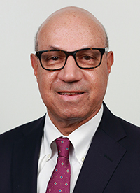 David Womack