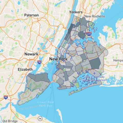 Visit the Dynamic Mayor&rsquo;s Management Report website.