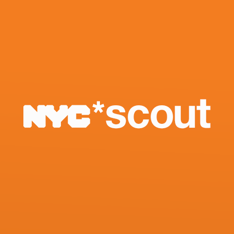 SCOUT: Street Condition Observation
