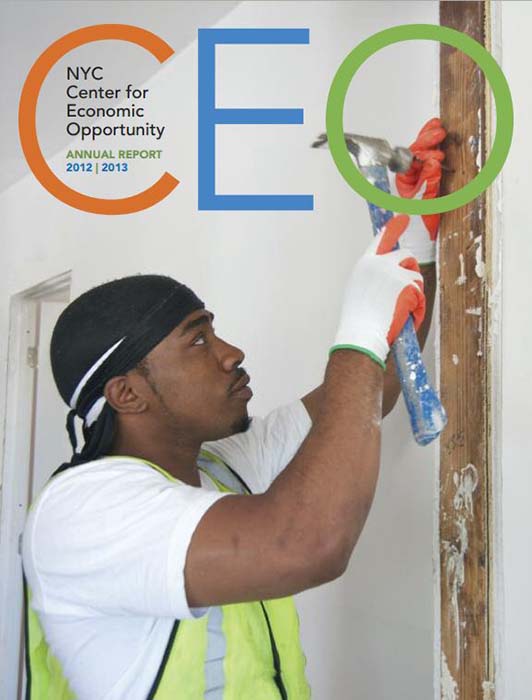 Cover of CEO Annual Report 2012-2013