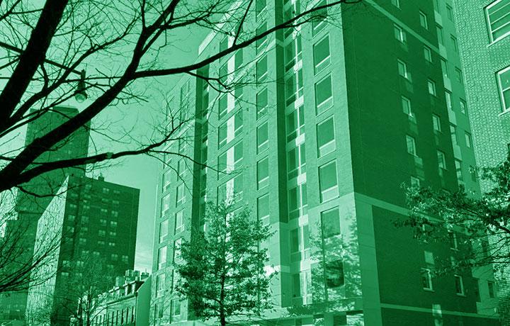 Buildings with a green shade over them 