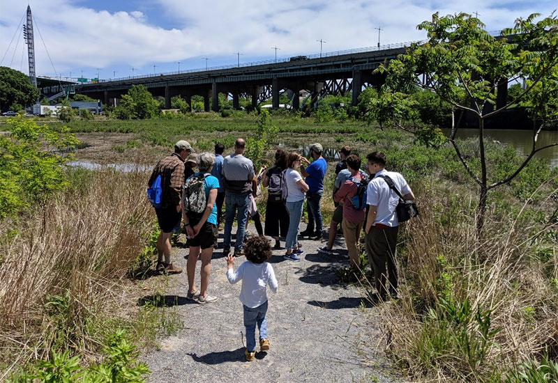 photo of a group of people walking along a trail.