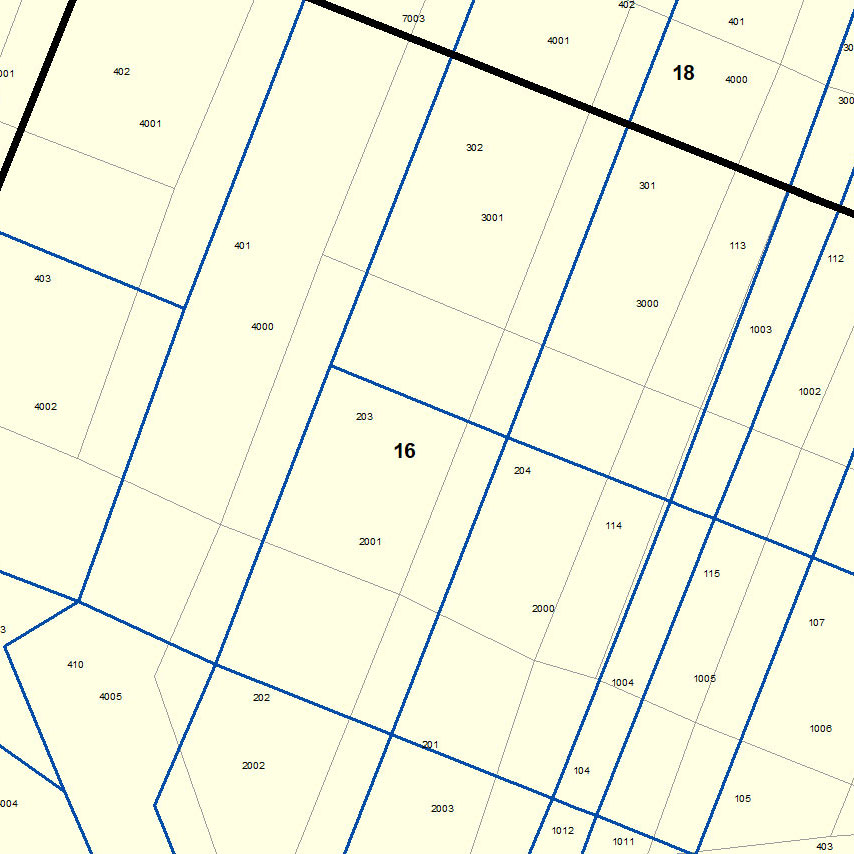 Illustration of2020 Census Data-census blocks