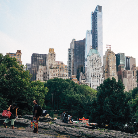 Park with tall buildings in the background