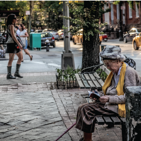 Person reading on a park bench