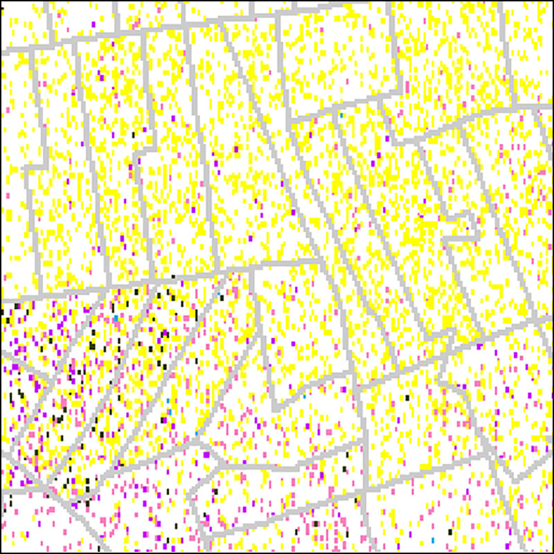 2000 Population Shifts