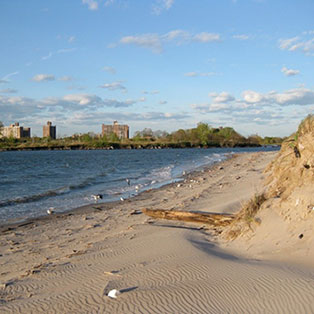 View the Climate Resiliency web page