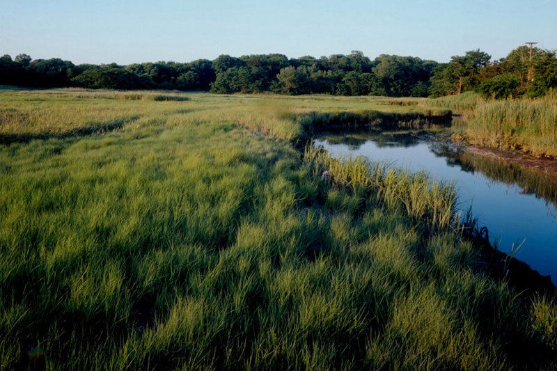 Natural Coastal Resources
