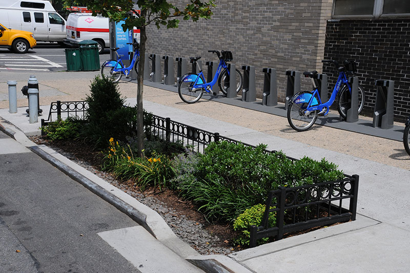 An example of a bioswale