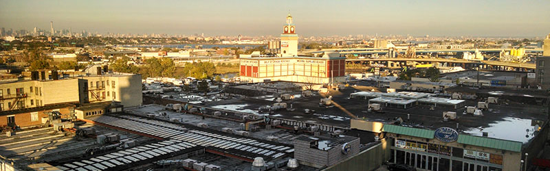 Flushing West Study Area