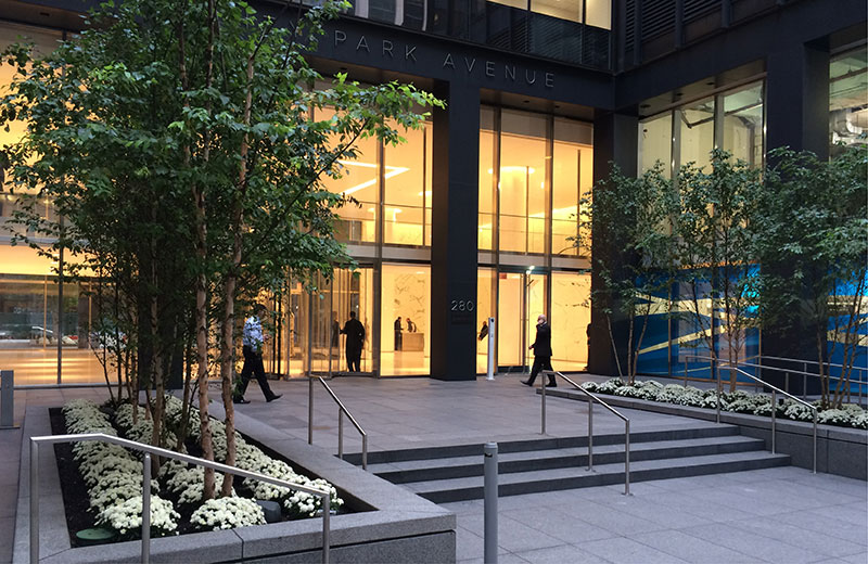 Building and retail entrances create a connection between the plaza and the building identity