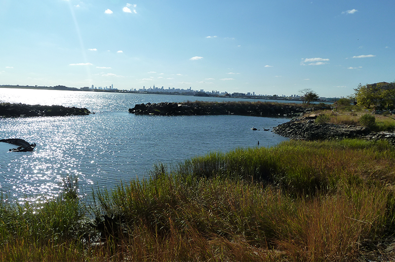 Resilient Neighborhoods - Harding Park