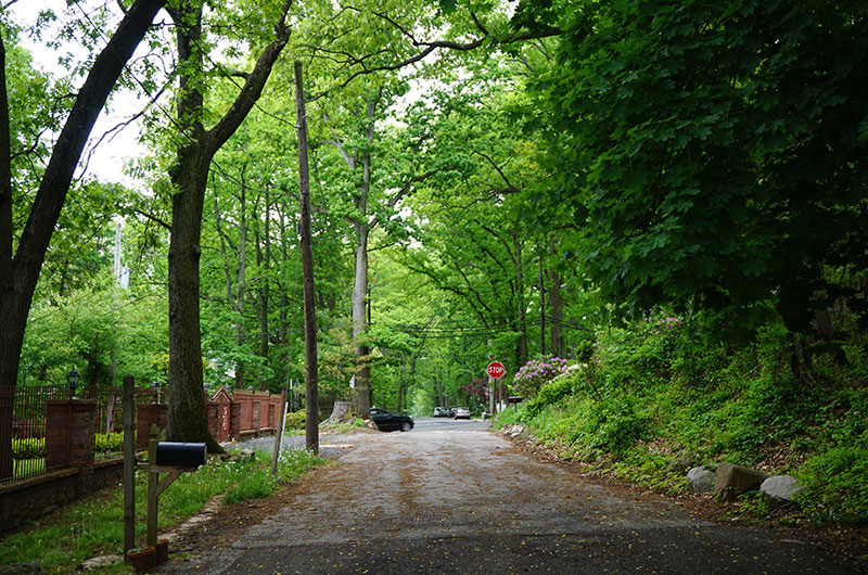 Lighthouse Hill Tree-lined neighborhood 