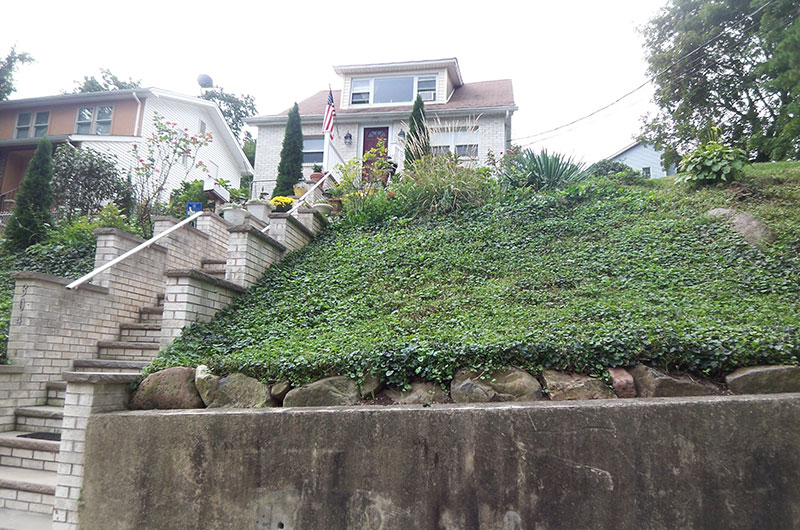 Tompkinsville Hillsides preservation