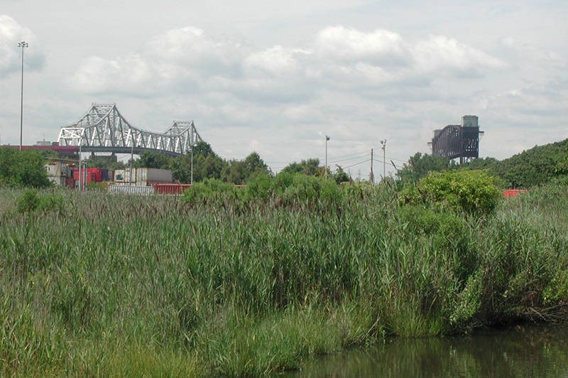 West Shore wetlands 