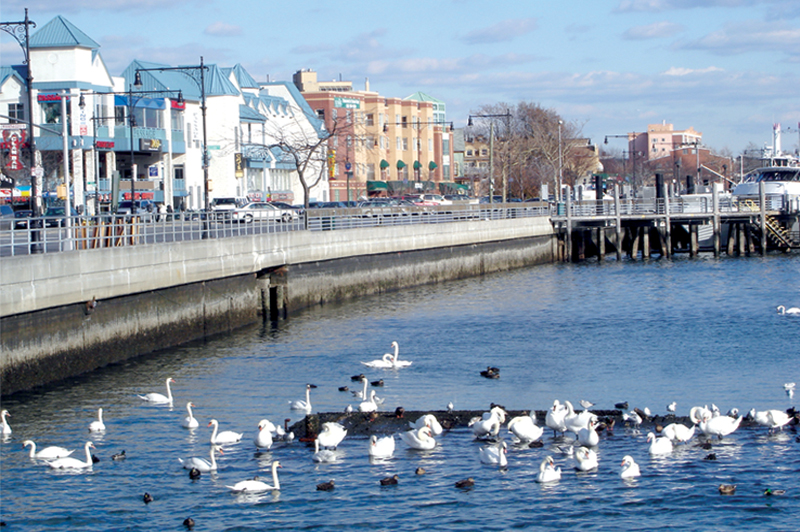 Sheepshead Bay