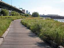 Example of meandering path in Hudson River Park, Manhattan