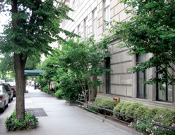High-density streetscape on the Upper West Side