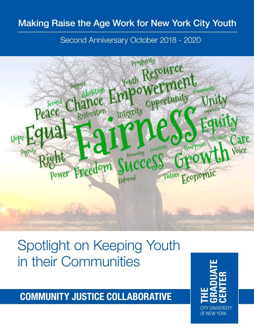 Raise the Age book cover