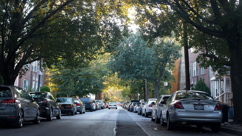 Astoria Treelined Street
                                           