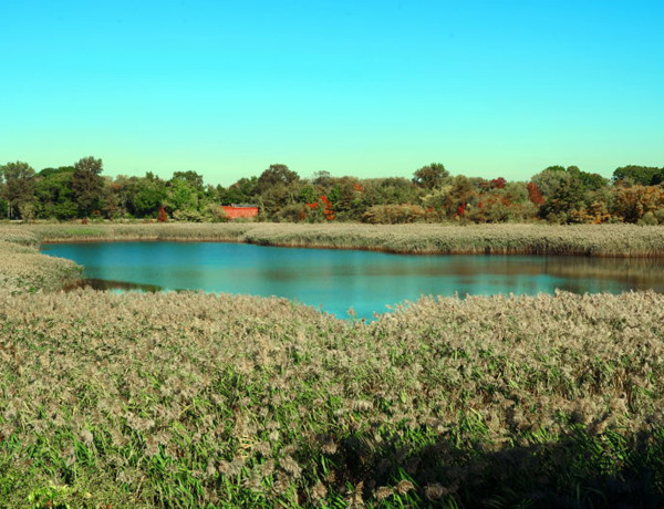 Ridgewood Reservoir
                                           