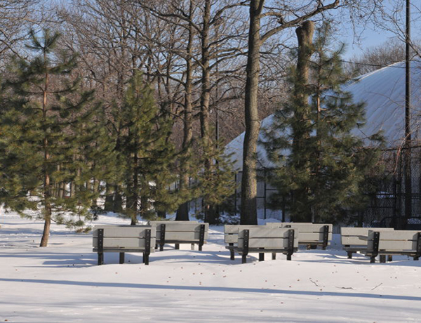 More than a Community Board!
                                           