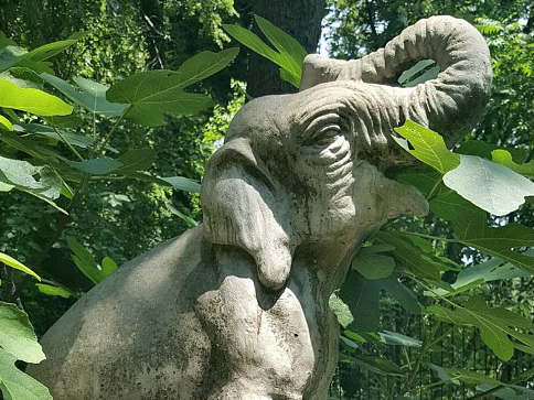 Elephant Statue