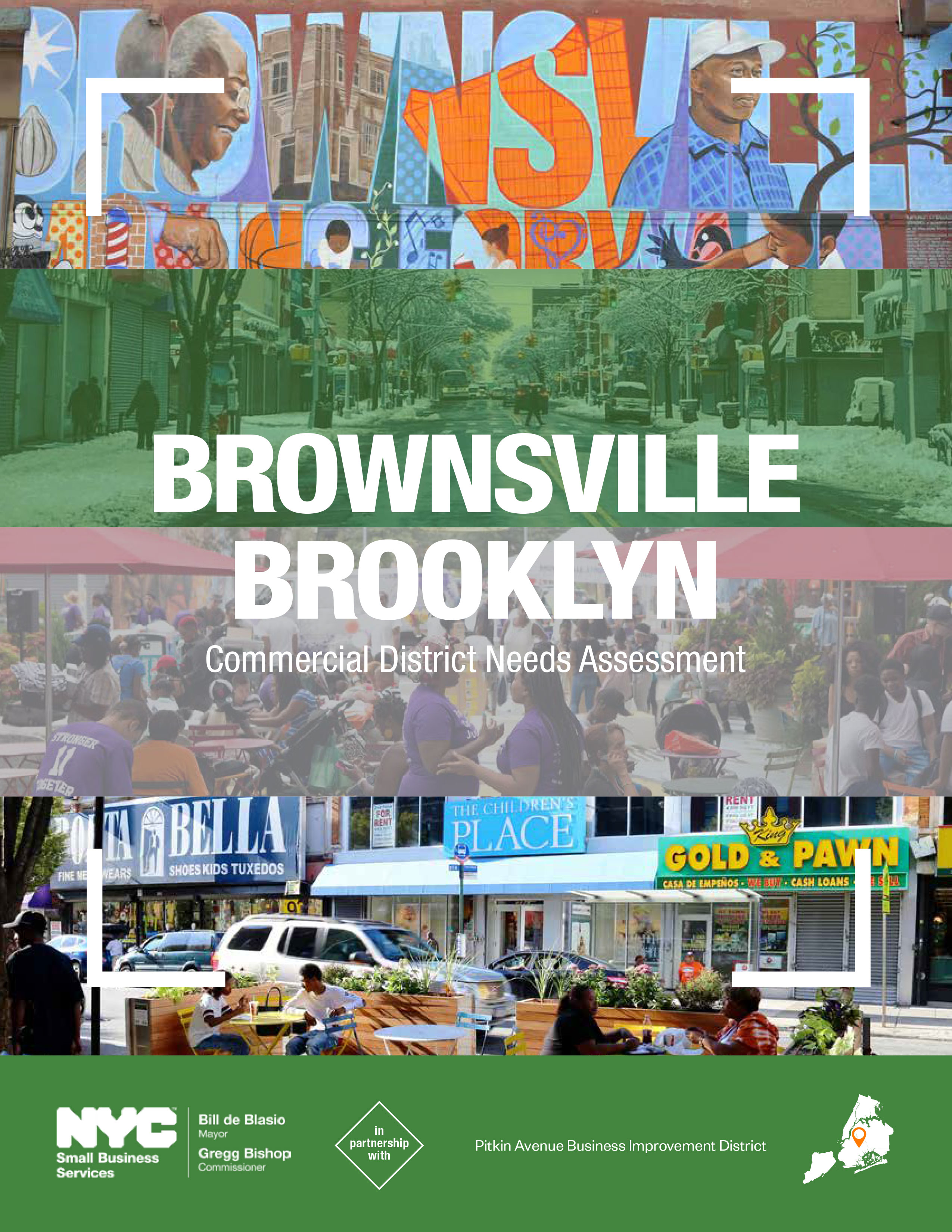 Brownsville Commercial District Needs Assessment