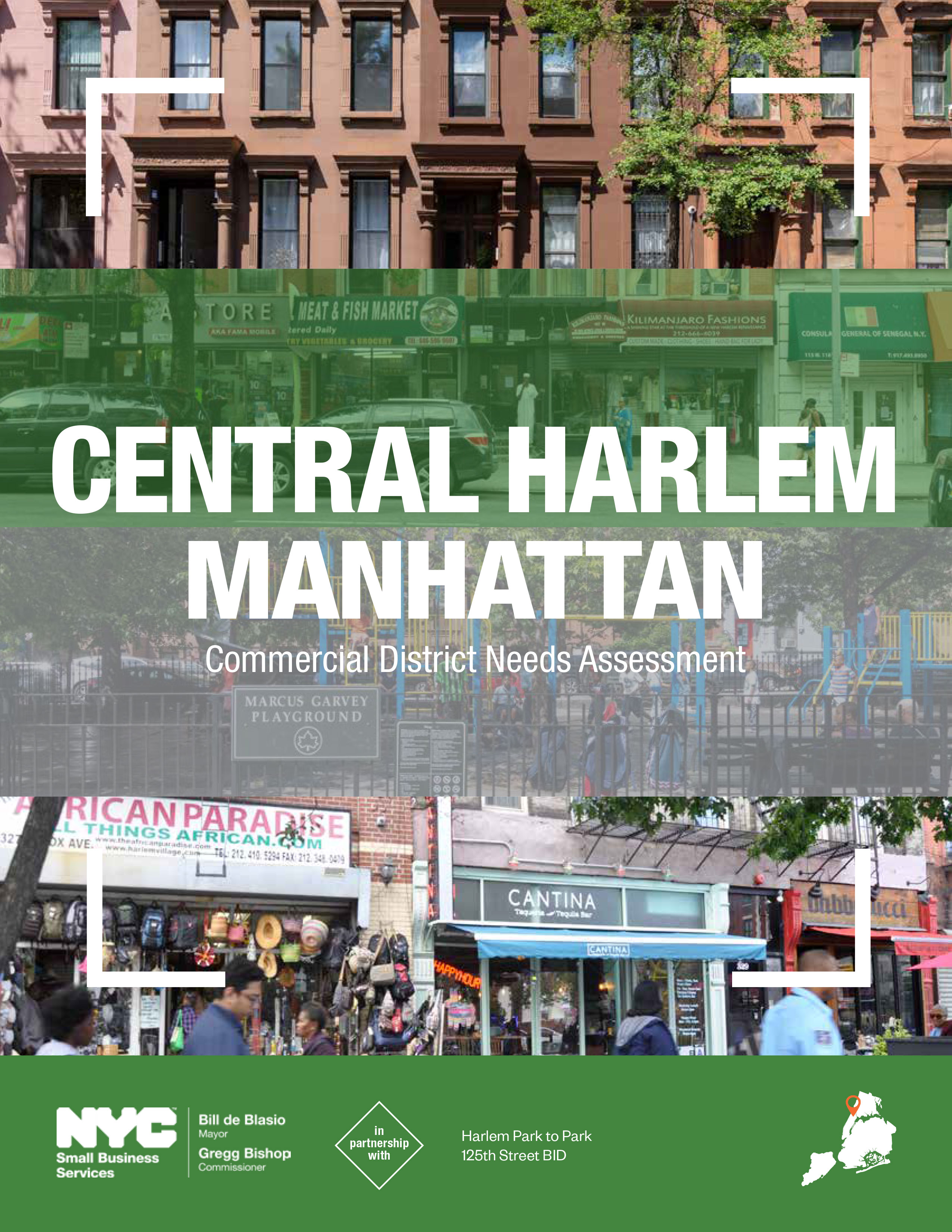 Central Harlem Commercial District Needs Assessment