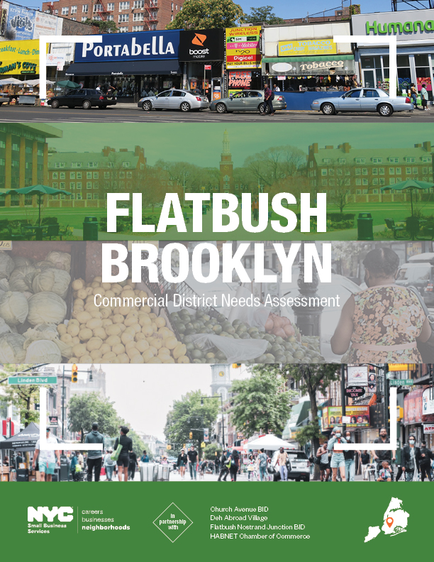 Flatbush Commercial District Needs Assessment