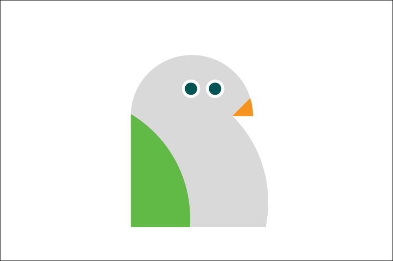 NYC Birdie