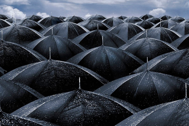 Black umbrellas
