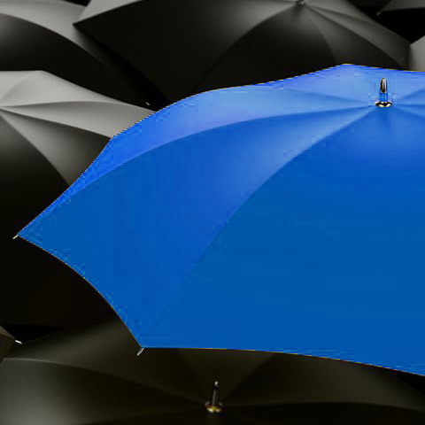 Black umbrellas with one bright blue