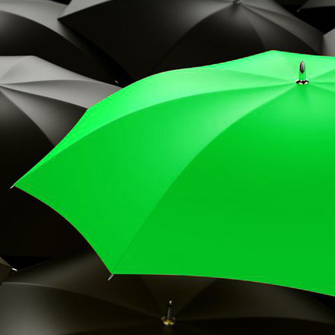 Black umbrellas with one bright green
