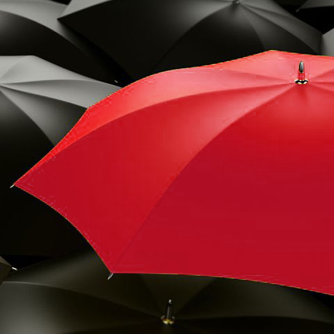Black umbrellas with one bright red